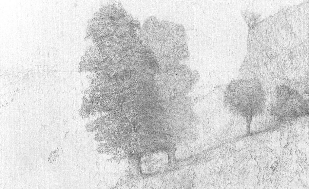 Dessin au crayon d'un groupe de grands arbres isolés sur une pente herbeuse et rocailleuse.