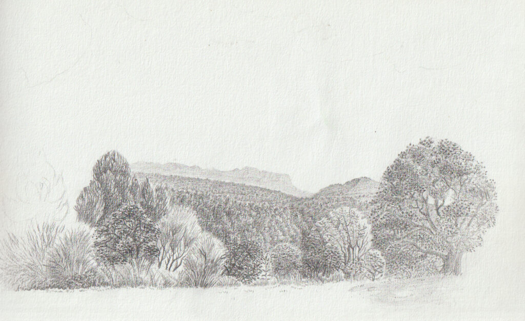 Dessin au crayon de forêts et de la montagne de Lure près de La Bastide des Jourdans